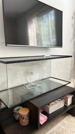 Terrarium knaagdier, Kooi, Zo goed als nieuw, Hamster, 75 tot 110 cm