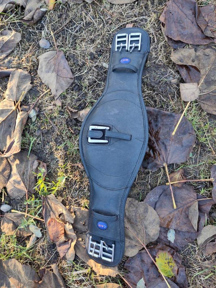 Singel Wintec Anatomic Cair Kort Zwart

60cm, Dieren en Toebehoren, Paarden en Pony's | Hoofdstellen en Tuigage, Zo goed als nieuw