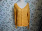 Mooi vest van TANTE BETSY, Ophalen of Verzenden, Zo goed als nieuw, Maat 46/48 (XL) of groter, Geel