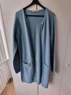 Blauw vest van garcia jeans maat L, Kleding | Dames, Truien en Vesten, Maat 38/40 (M), Blauw, Ophalen of Verzenden, Zo goed als nieuw