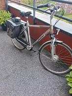 Giant twist go double, Fietsen en Brommers, Elektrische fietsen, Ophalen of Verzenden, Gebruikt, Overige merken