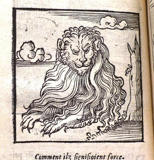 Sculptures ou Graveures Sacrees d’Orus Apollo 1553 194 grav., Antiek en Kunst, Antiek | Boeken en Bijbels, Ophalen of Verzenden