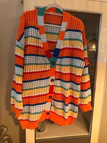 Chic Me Vest - Kleurrijk - Maat 50 - Nieuw! beschikbaar voor biedingen