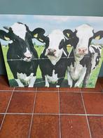 Leuke foto van koeien , canvas op houten frame, Huis en Inrichting, Woonaccessoires | Schilderijen, Tekeningen en Foto's, Ophalen