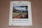 Das Bruegel-Buch - 1936 - met kleurenreproducties !!, Boeken, Kunst en Cultuur | Beeldend, Gelezen, Grafische vormgeving, Ophalen of Verzenden
