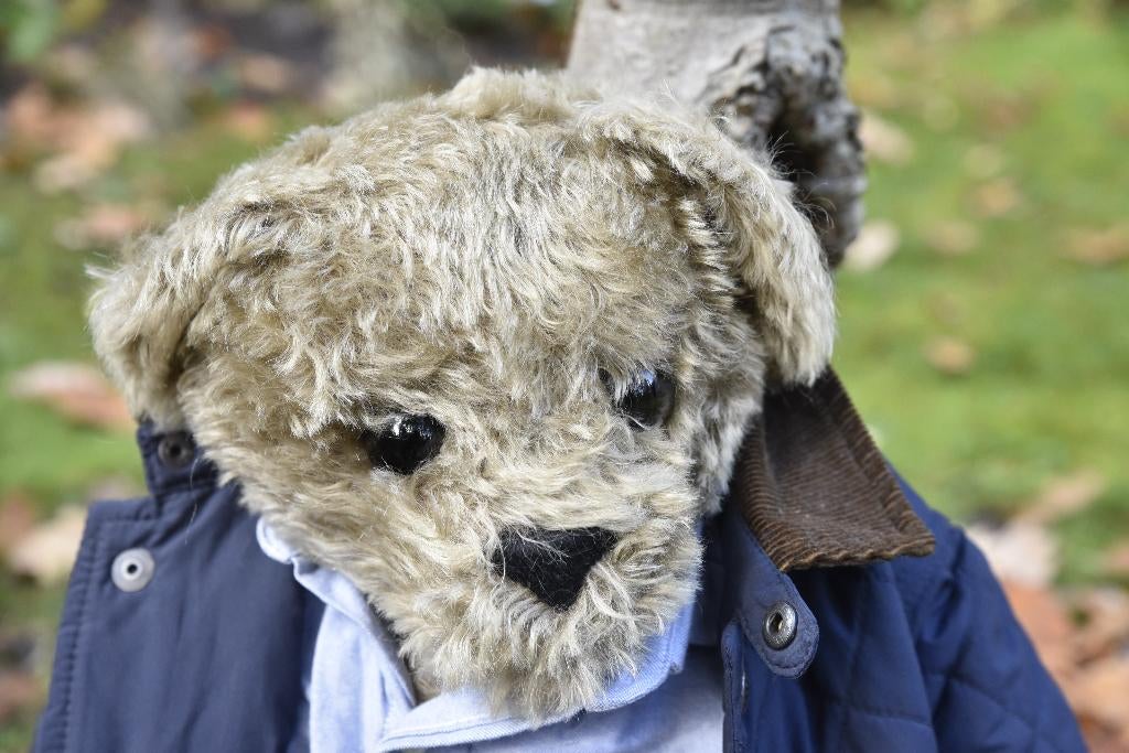 Teddybeer Beertus, Verzamelen, Beren en Cherished Teddies, Ophalen of Verzenden, Zo goed als nieuw, Stoffen beer, Overige merken