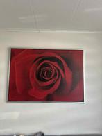 Ikea rode roos foto 140/100, Huis en Inrichting, Ophalen, 125 cm of meer, Foto of Poster, 75 cm of meer