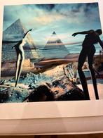 Arturo: Giclee, Oertijger, Antiek en Kunst, Ophalen of Verzenden