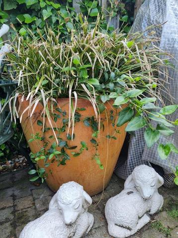 *** XXL MEDITERANE TOSCAANSE BLOEMPOTTEN *** beschikbaar voor biedingen
