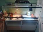 Terrrarium, Ophalen, Zo goed als nieuw, Terrarium of Paludarium