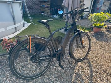 Qwic MA11 speedpedelec beschikbaar voor biedingen