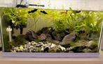 Beginners Aquarium, Dieren en Toebehoren, Vissen | Aquaria en Toebehoren, Ophalen of Verzenden, Verlichting of Verwarming