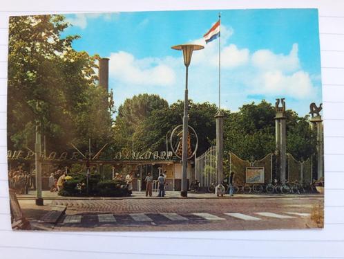 ansichtkaart Rotterdam Diergaarde Blijdorp, Verzamelen, Ansichtkaarten | Nederland, Ongelopen, Zuid-Holland, 1960 tot 1980, Ophalen of Verzenden
