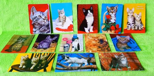 13 Ansichtkaarten - Thema: De KAT -> 1970 - 1975 -> RETRO, Verzamelen, Ansichtkaarten | Dieren, Gelopen, 1960 tot 1980, Hond of Kat