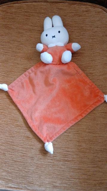 Nijntje  beschikbaar voor biedingen