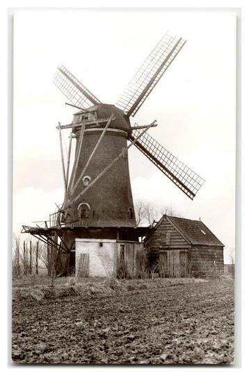 Zonnemaire, Korenmolen "De Korenbloem" beschikbaar voor biedingen