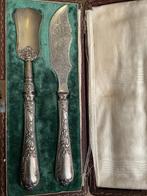 Antiek zilveren visbestek in orginele doos met fluweel, Antiek en Kunst, Ophalen of Verzenden