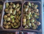 Conference peren biologisch uit eigen boomgaard, Ophalen of Verzenden