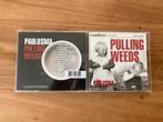 Jelle Paulusma - Pulling weeds CD, Cd's en Dvd's, Verzenden, Gebruikt, Poprock