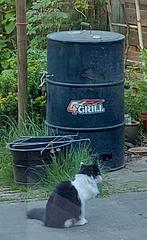 4Grill Barrel BBQ Smoker, Ophalen, Gebruikt, 4Grill
