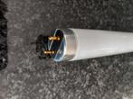 TL-lamp TL-buis 18 Watt, fitting G13 gloednieuw bijna gratis, Minder dan 30 watt, Overige typen, Nieuw, Overige fittingen