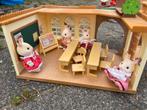 Sylvanian familie school + met figuurtjes, Kinderen en Baby's, Speelgoed | Poppenhuizen, Ophalen of Verzenden, Zo goed als nieuw