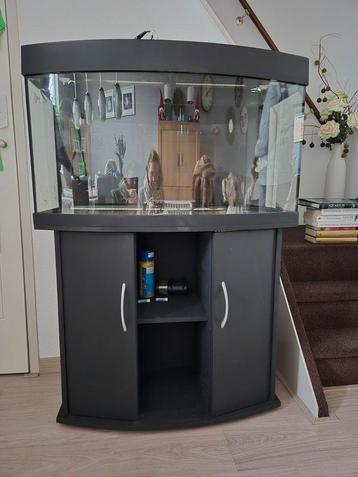 Aquarium Juwel Vision 180 (incl. apparatuur) beschikbaar voor biedingen