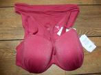 Nieuwe Cyell bikini 40f broekje 38, Kleding | Dames, Cyell, Ophalen of Verzenden, Nieuw, Bikini