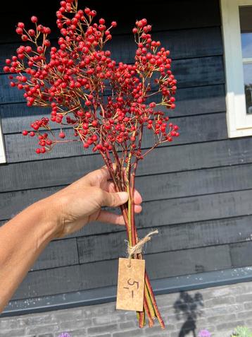 Echte rozenbotteltjes bosjes uit de tuin decoratief  beschikbaar voor biedingen