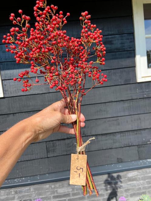 Echte rozenbotteltjes bosjes uit de tuin decoratief, Antiek en Kunst, Curiosa en Brocante, Ophalen