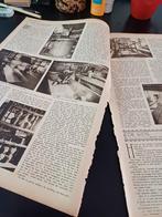 Artikel kaasmakerij Utermohlen Hoorn 1916, Ophalen of Verzenden, Voor 1920, Knipsel(s)