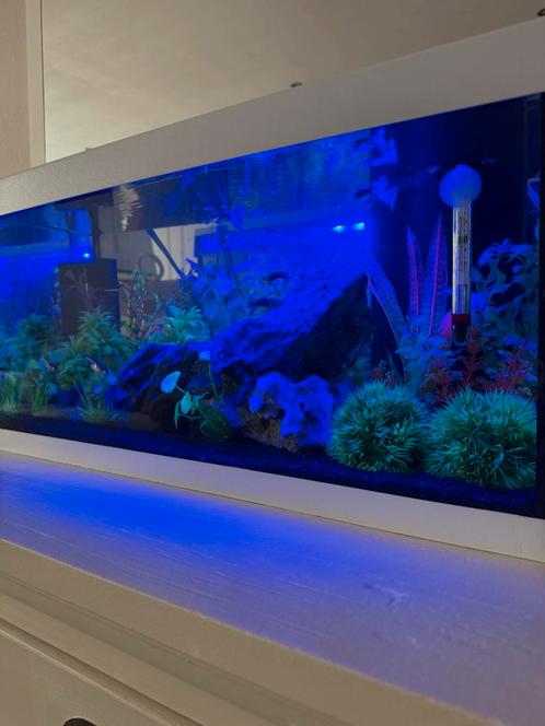 Tetra aquarium compleet, zo goed als nieuw!, Dieren en Toebehoren, Vissen | Aquaria en Toebehoren, Zo goed als nieuw, Gevuld zoetwateraquarium