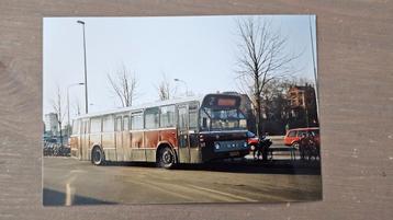 Foto BUS GVBG Groningen 69 1995 beschikbaar voor biedingen