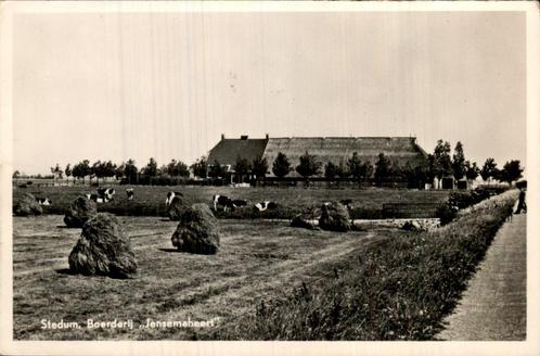 Boerderij Jensemaheert in Stedum, Verzamelen, Ansichtkaarten | Nederland, Gelopen, Groningen, 1920 tot 1940, Ophalen of Verzenden