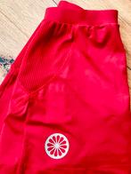 Indian Maharadja rokje  maat S, Ophalen of Verzenden, Zo goed als nieuw, Kleding