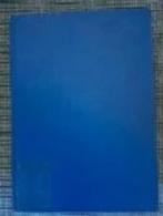 PAUL KLEE / Tagebücher 1898-1918, Verzenden, Gelezen