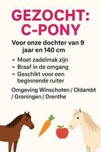 Betrouwbare C-pony GEZOCHT, Dieren en Toebehoren, Stalling en Weidegang
