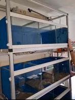 Complete aquariumstelling met filters en decoratie, Ophalen, Gebruikt, Leeg aquarium