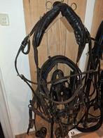 Paardentuig full tuig tuigen enkelspan tuigage paard, Ophalen of Verzenden, Gebruikt, Overige soorten