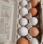 Lekkere verse  scharreleieren 10 stuks voor 1,50 euro, Dieren en Toebehoren, Pluimvee, Vrouwelijk, Kip