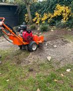 Bomen kappen of snoeien en stronken frezen, Tuinonderhoud of Snoeiwerk
