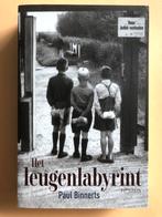 Het leugenlabyrint - Paul Binnerts, Ophalen of Verzenden, Zo goed als nieuw, Nederland
