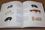 Het varken. Beschrijving in woord en beeld van ontstaan., Boeken, Ophalen of Verzenden, Zo goed als nieuw, Paarden of Pony's