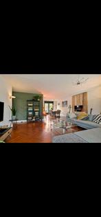 Steigerhouten Muurhaard  Frame - Gratis Afhalen Eindhoven, Ophalen, Gebruikt