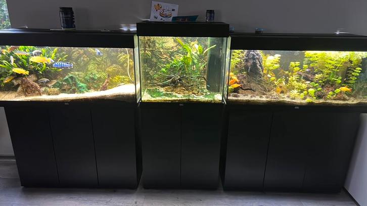 2 JEWEL Rio aquariums 1 x Jewel LiDO incl vissen, Dieren en Toebehoren, Vissen | Aquaria en Toebehoren, Zo goed als nieuw, Gevuld zoetwateraquarium