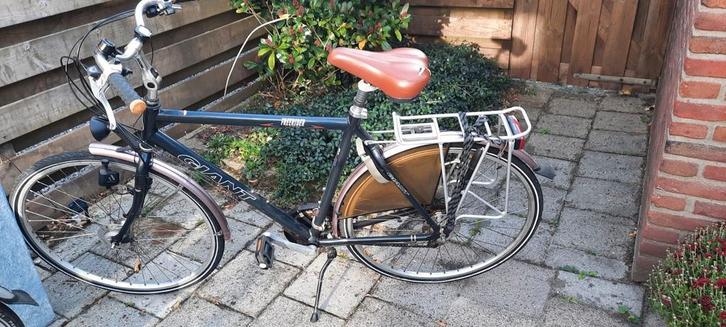 Giant Freerider herenfiets, Fietsen en Brommers, Fietsen | Heren | Herenfietsen, Gebruikt, Giant, Versnellingen, Ophalen