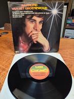 Raymond van het Groenewoud LP, Ophalen of Verzenden, Gebruikt, 12 inch