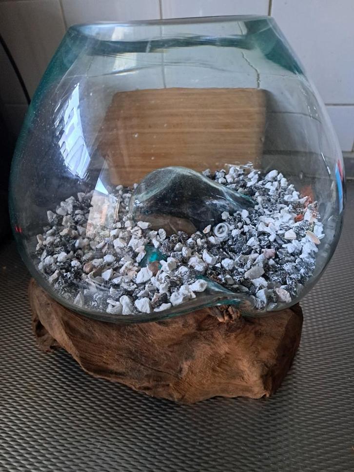 Leuke vissenkom speciaal geïntegreerd op eikenhout, Dieren en Toebehoren, Vissen | Aquaria en Toebehoren, Zo goed als nieuw, Grind, Zand of Voedingsbodem