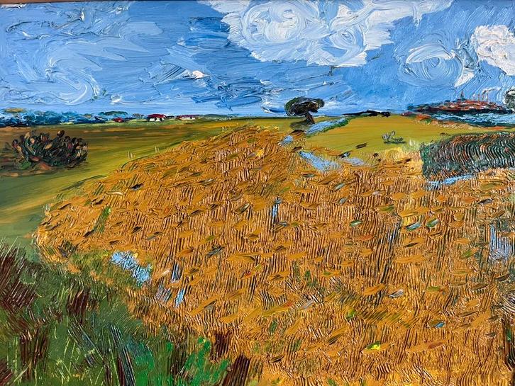 Schilderij olieverf Hollands vergezicht, Antiek en Kunst, Kunst | Schilderijen | Abstract, Ophalen of Verzenden