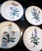 Vintage botanische borden, Bord(en), Overige stijlen, Ophalen of Verzenden, Zo goed als nieuw